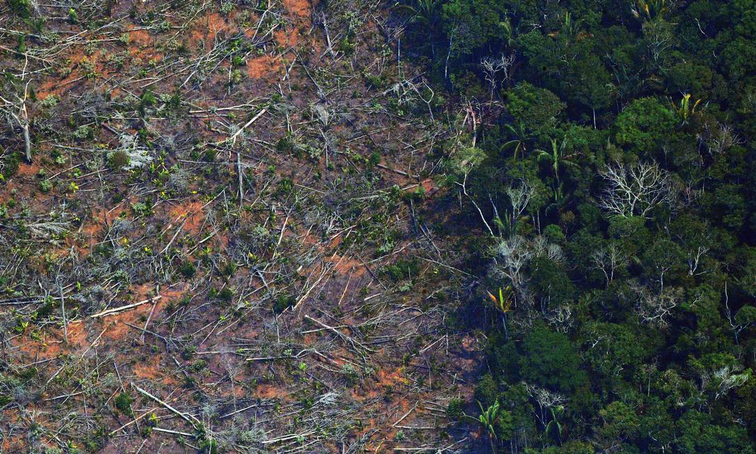 Imagem de arquivo mostra área desmatada na Amazônia no estado de Rondônia Foto: CARL DE SOUZA / AFP