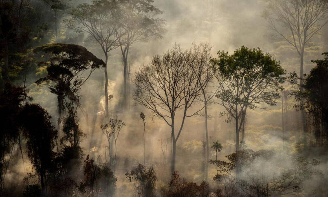 Foco de calor direto em floresta, próximo a área recém desmatada, com alerta Deter, em Alta Floresta (MT) Foto: Christian Braga / © Christian Braga / Greenpeace