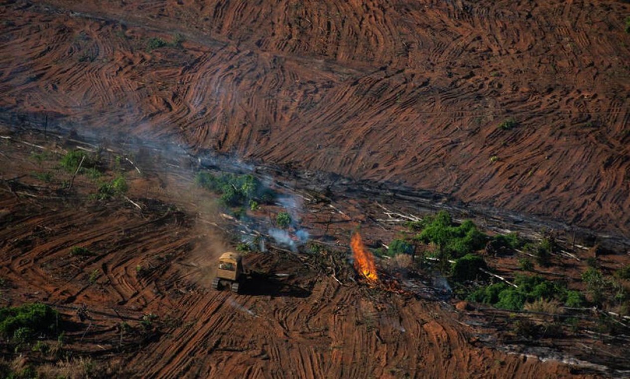 Restos de floresta sendo queimados em área com registro de desmatamento pelo último Prodes, em Juara (MT) Foto: Christian Braga / © Christian Braga / Greenpeace