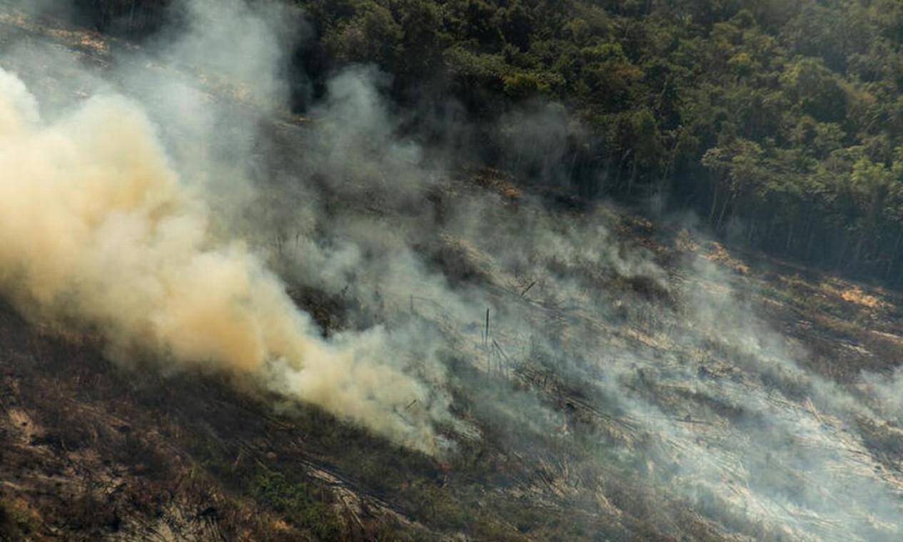 Polígonos de desmatamento recente com alertas de Deter e resquícios de focos de calor do dia anterior, em Nova Canaã do Norte (MT) Foto: Christian Braga / © Christian Braga / Greenpeace