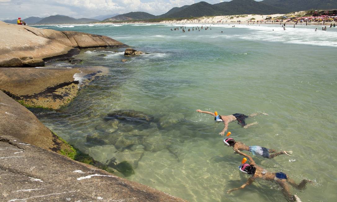 Banhistas da Praia da Joaquina, em Florianópolis, Santa Catarina Foto: Caio Vilela / Ministério do Turismo / Divulgação