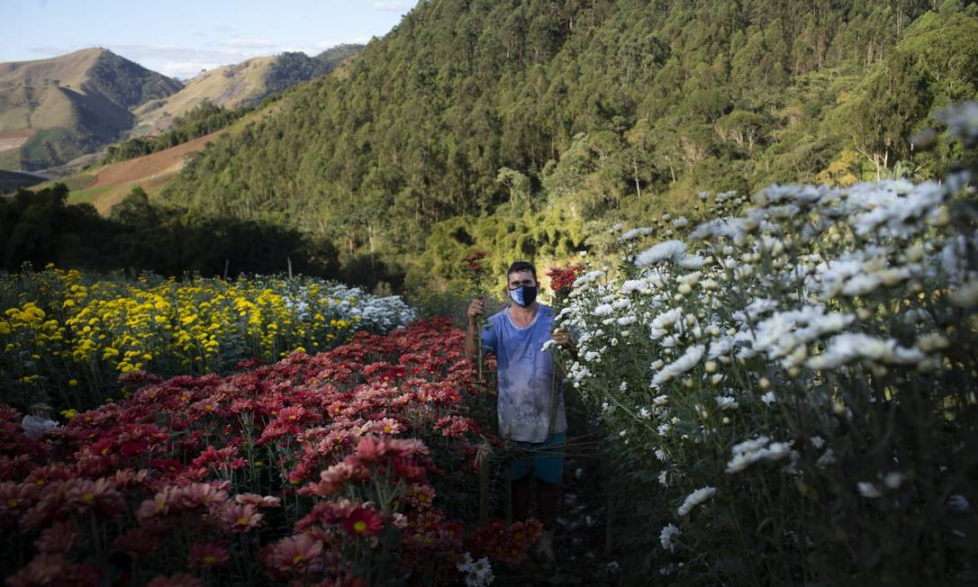 Paulo Cezar Correia Dias, de 50 anos, e a mulher, produtores de flores na zona rural de Bom Jardim, tiveram Covid-19 em maio Foto: Márcia Foletto / Agência O Globo