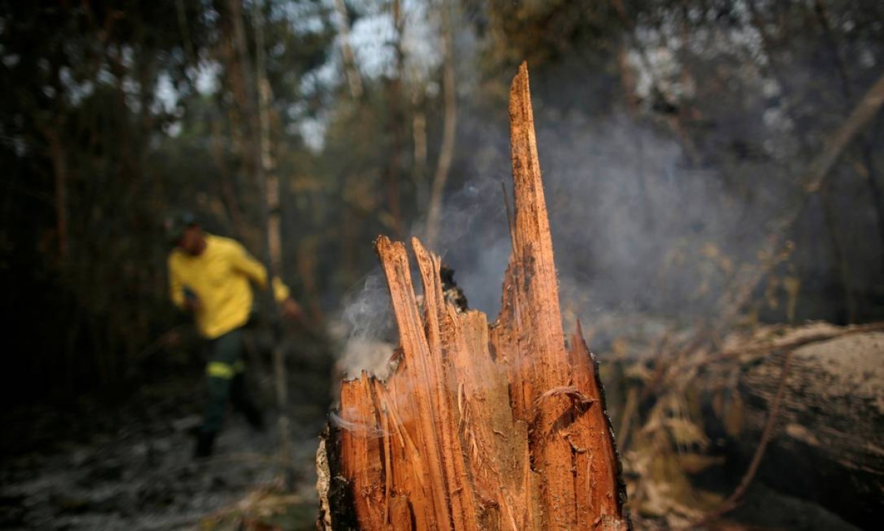 Membro da brigada de incêndio do Instituto Brasileiro do Meio Ambiente e dos Recursos Naturais Renováveis (Ibama) tenta controlar um incêndio em uma área da floresta amazônica em Apuí, no Amazonas Foto: UESLEI MARCELINO / REUTERS