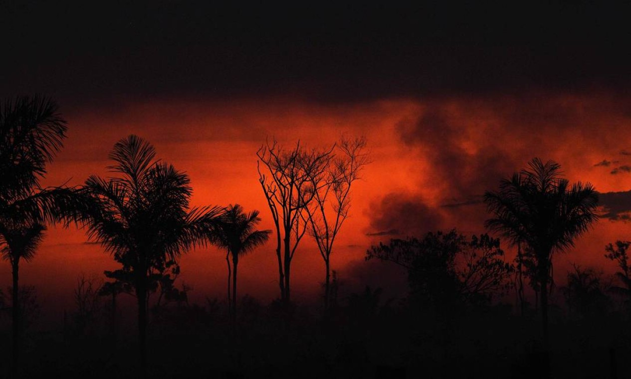 Fumaça sobe de um incêndio ilegal na reserva da floresta amazônica, ao norte de Sinop, no Mato Grosso Foto: CARL DE SOUZA / AFP