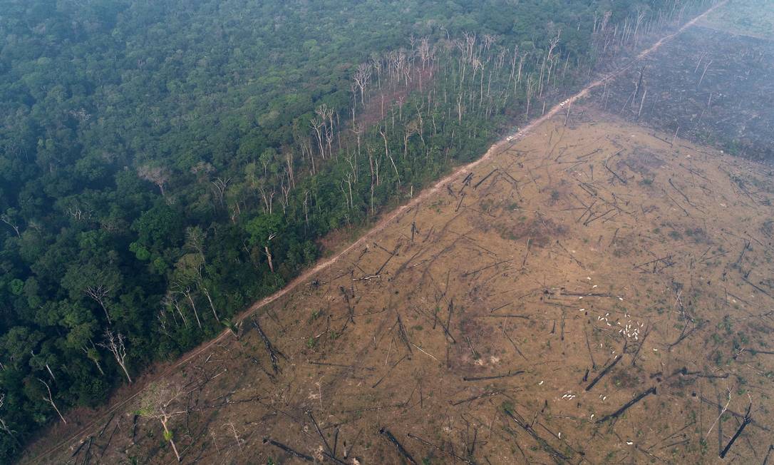 Imagem aérea mostra fronteira entre a selva amazônica a área degradada por queimadas a mando de madeireiros e fazendeiros, em Apuí, no Amazonas Foto: UESLEI MARCELINO / REUTERS