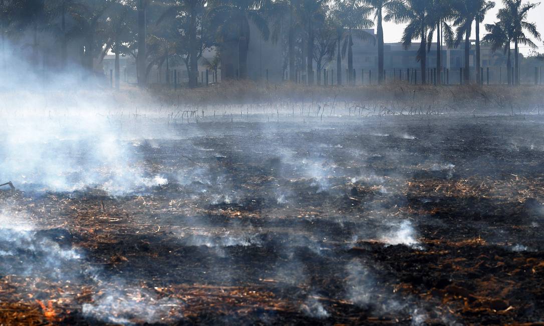 Fumaça sobe de um incêndio ilegal na reserva da floresta amazônica, ao norte de Sinop, no Mato Grosso Foto: CARL DE SOUZA / AFP
