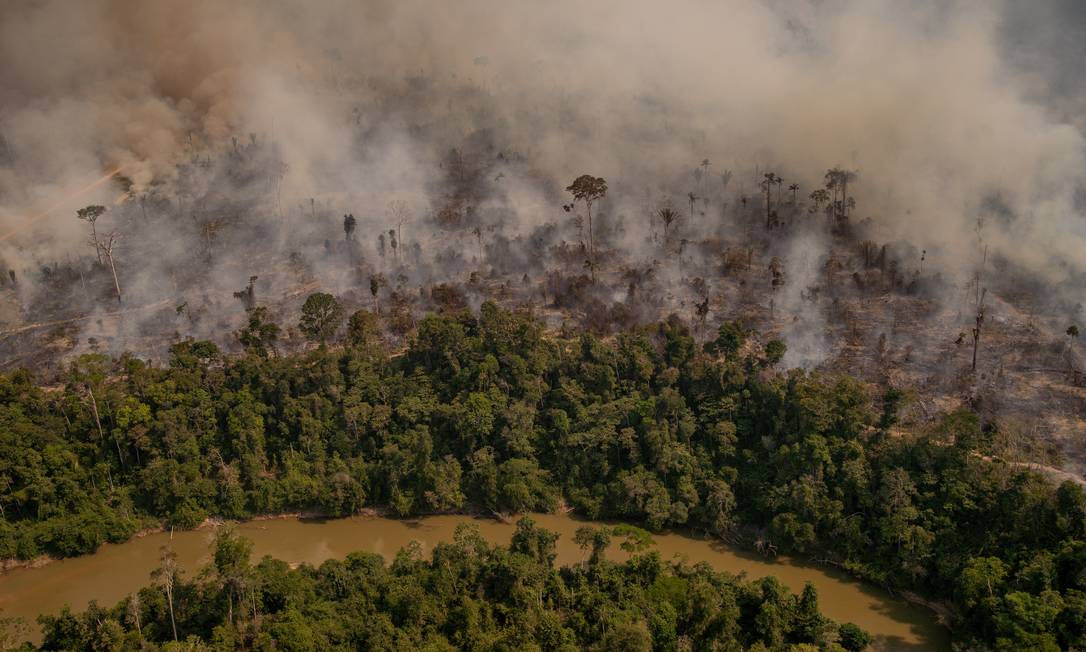 Com extrativismo sustentável, povos da floresta resistem ao desmatamento