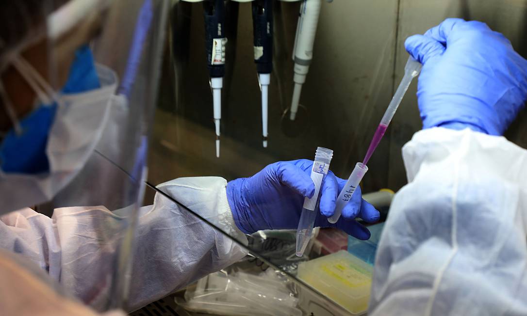 Testes de Covid-19 sendo realizados no Laboratório de Virologia Molecular do CCS-UFRJ Foto: Fabio Motta / Agência O Globo
