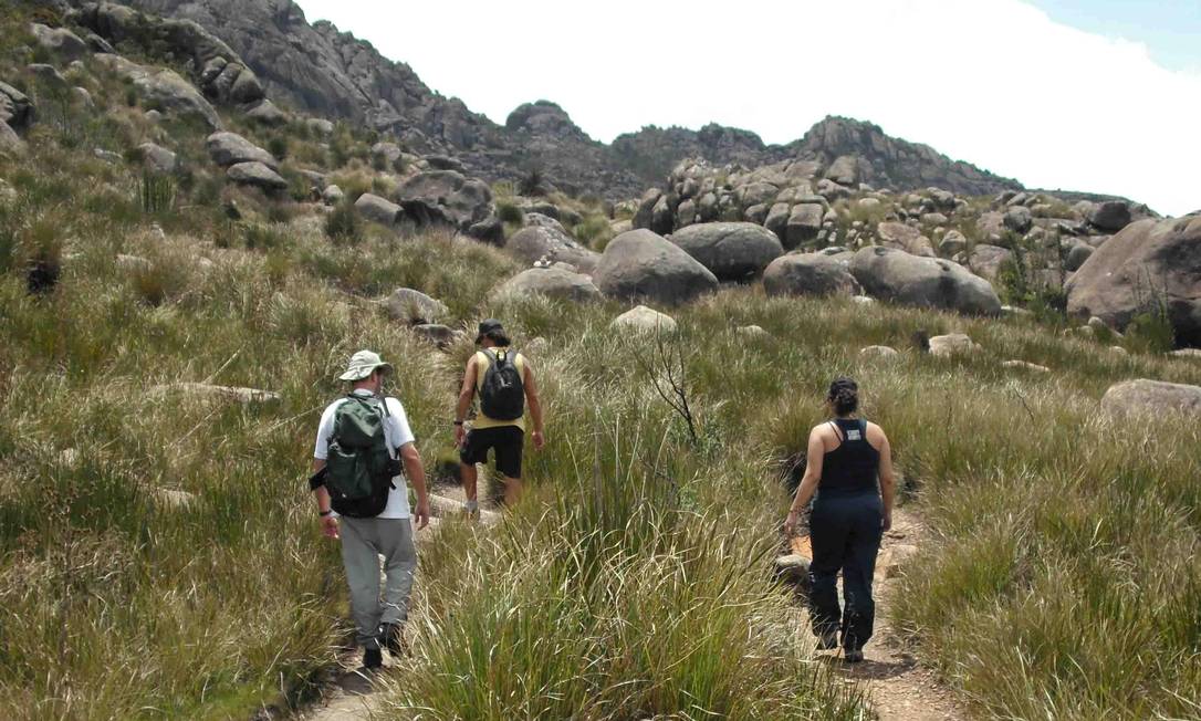 Visitantes caminham pela Parte Alta do Parque Nacional do Itatiaia Foto: Gute Passeios / Divulgação