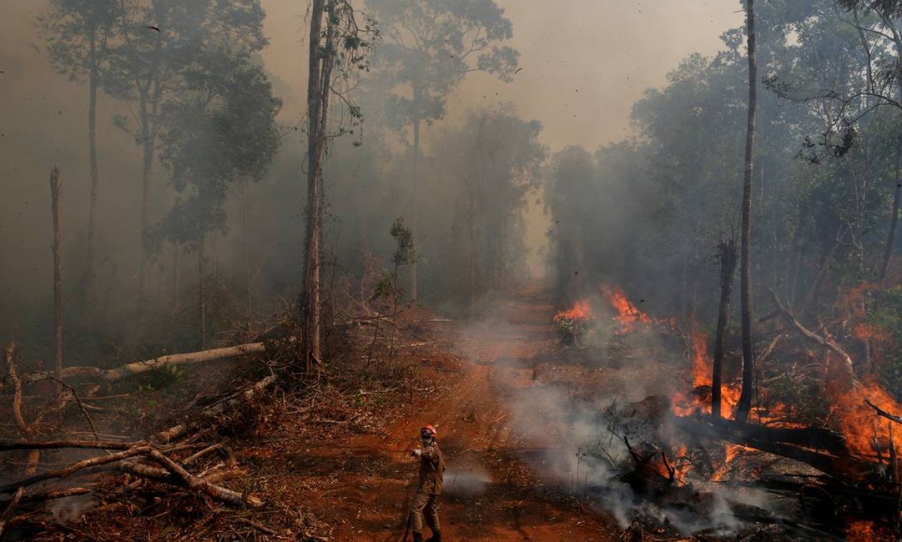 Alemanha alerta que desmatamento pode emperrar cooperação com Brasil em  outras áreas