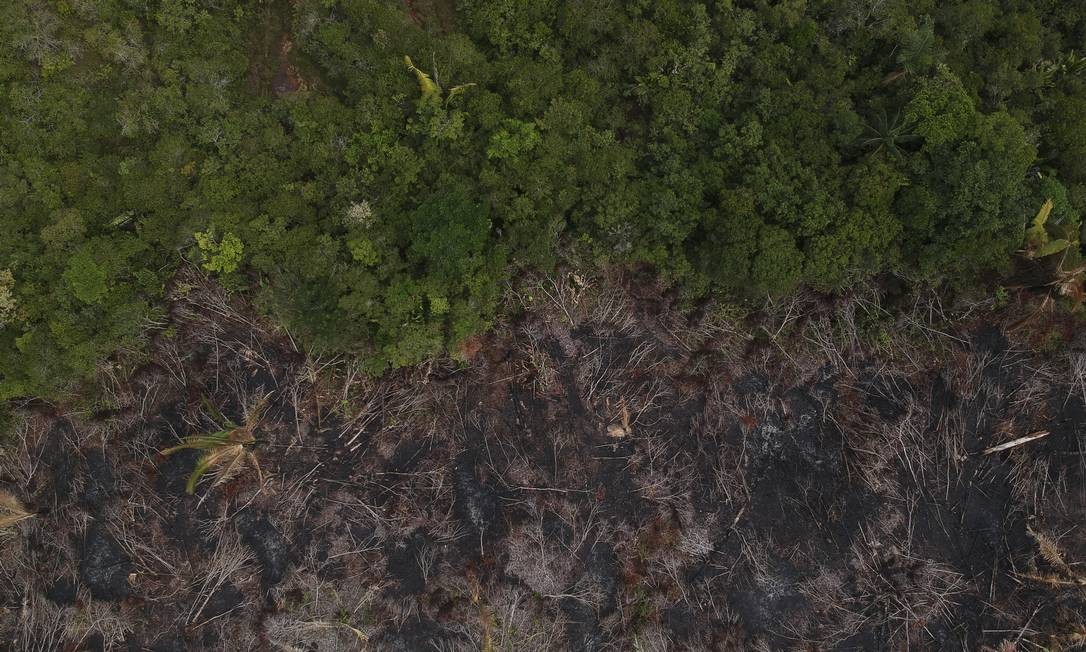 Terras indígenas preservadas na Amazônia registram desmatamento pela primeira vez em 10 anos