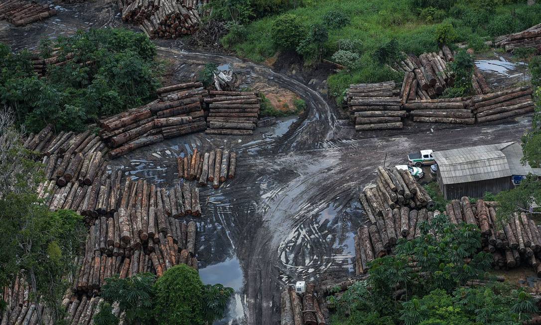 Dados sobre desmatamento na Amazônia foram divulgados nesta sexta-feira Foto: Agência O Globo