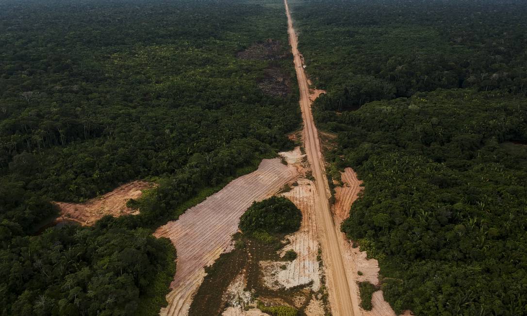 Desmatamento na beira da estrada BR-319, que liga Porto Velho a Manaus Foto: Gabriel Monteiro / Agência O Globo