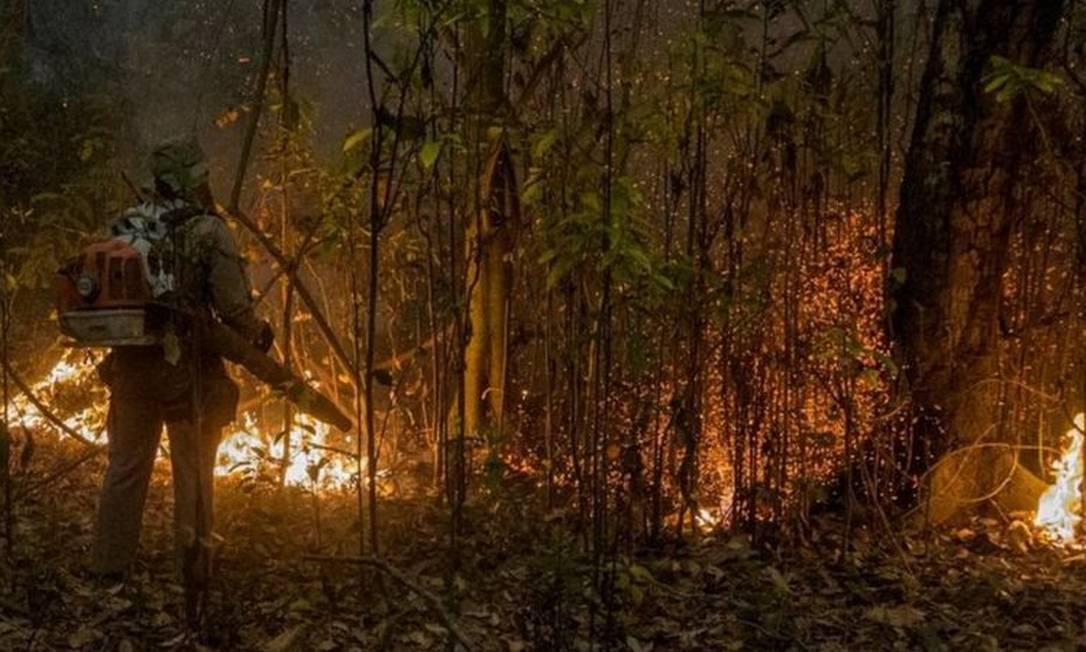 Incêndios no Pantanal atingiram grandes proporções e já consumiram quase 3 milhões de hectares do bioma no Brasil Foto: EPA/ROGÉRIO FLORENTINO