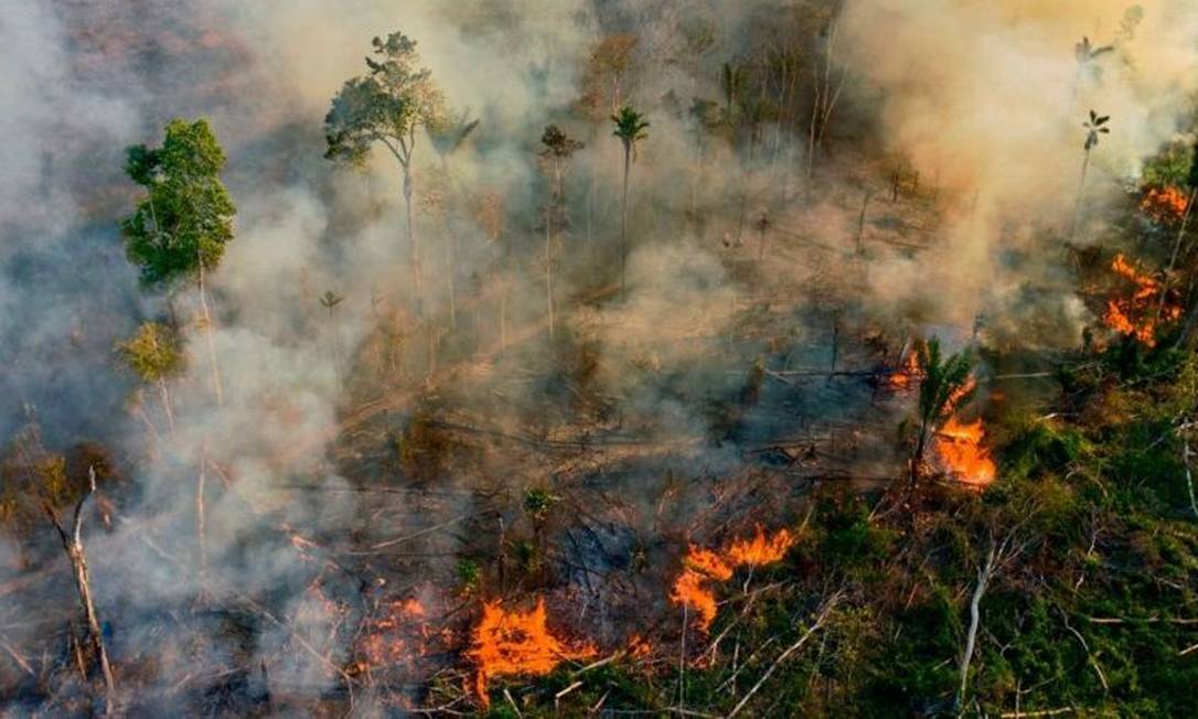 Incêndios florestais na Amazônia brasileira teriam voltado a níveis alarmantes de dez anos atrás Foto: Getty Images