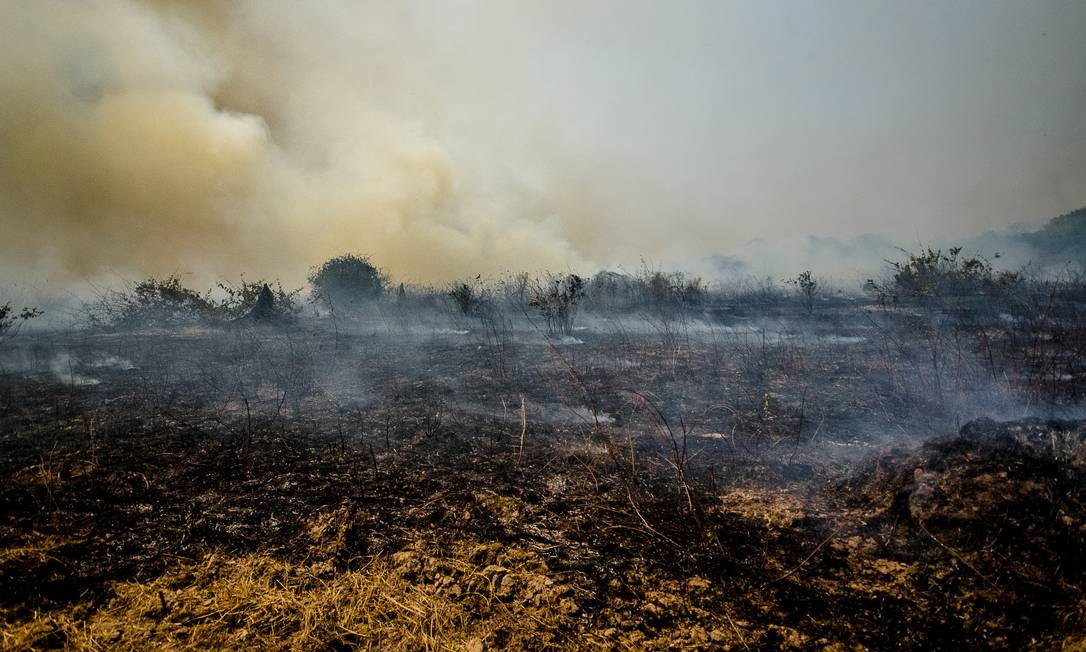 Incêndo no pantanal, na região do municipio de Pocone (MT) Foto: Daurio Filho / Agência O Globo