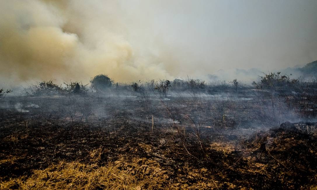 Incêndo no Pantanal, na região do município de Poconé, no Mato Grosso Foto: João Paulo Guimarães / Agência O Globo