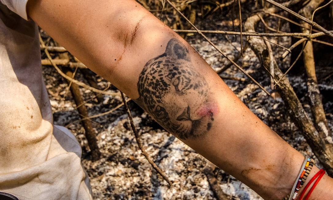 Voluntário com onça tatuada no antebraço mostra as marcas do combate às chamas Foto: João Paulo Guimarães / Agência O Globo