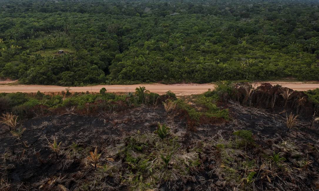 Amazônia: Estrada BR-319, que liga Porto Velho a Manaus, grande ponto de queimadas Foto: Gabriel Monteiro / Agência O Globo