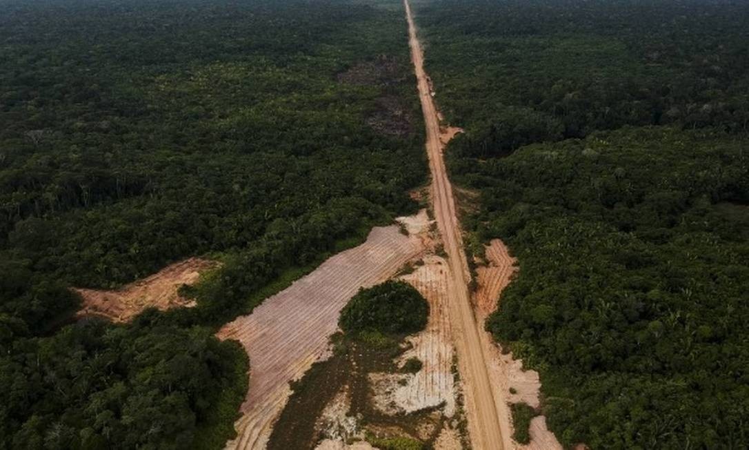 Desmatamento na beira da estrada BR-319, que liga Porto Velho a Manaus Foto: Gabriel Monteiro / Agência O Globo