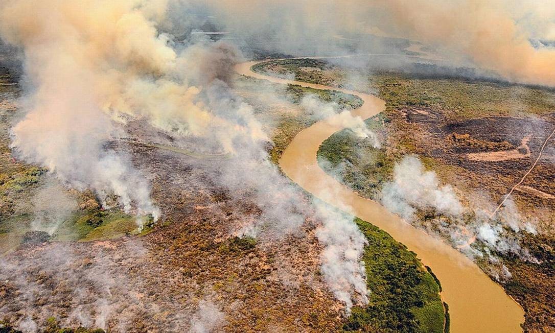 Queimadas no Pantanal: 20% do bioma já foi destruído Foto: Caio Guatelli