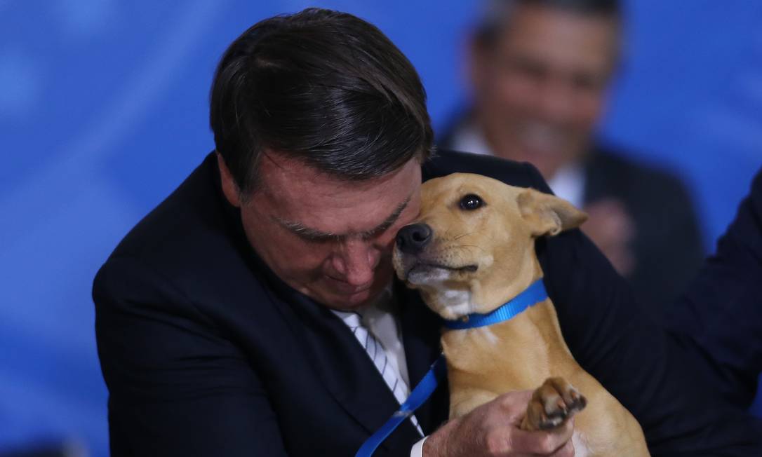 O presidente Jair Bolsonaro com o seu cachorro Nestor em cerimônia no Palácio do Planalto
Foto: Jorge William / Agência O Globo