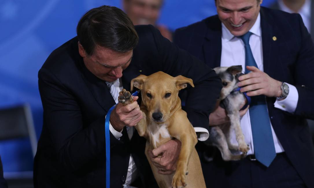  Bolsonaro diz que 'nunca' duvidou que sancionaria lei de maus-tratos de Illustration 