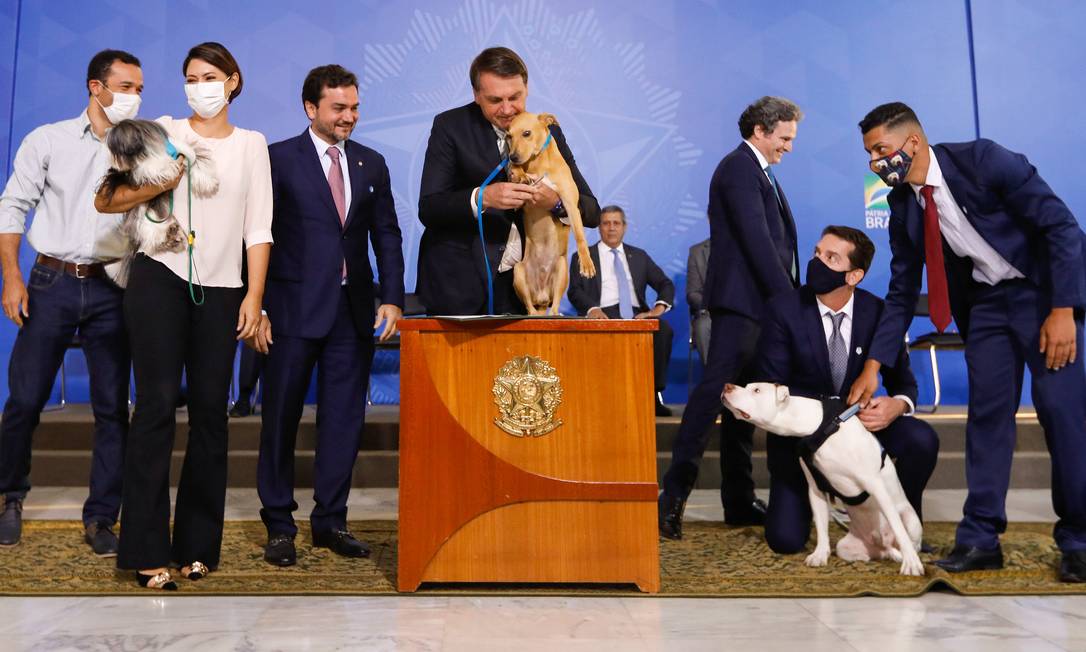  Bolsonaro diz que 'nunca' duvidou que sancionaria lei de maus-tratos de Illustration 