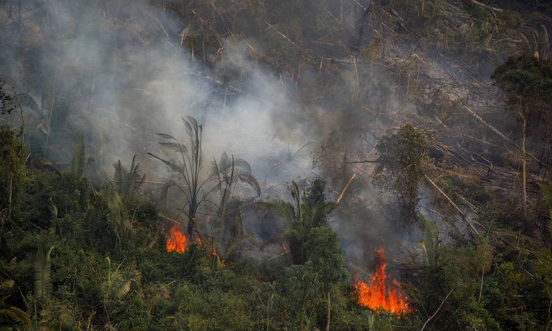 Na Amazônia Brasileira O Fogo Está Frequentemente Ligado Ao Desmatamento