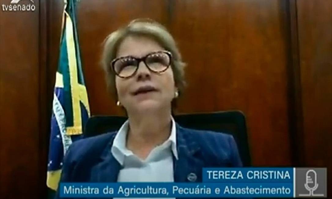 Ministra da Agricultura diz que se houvesse mais gado no Pantanal, desastre das queimadas 'seria até menor'