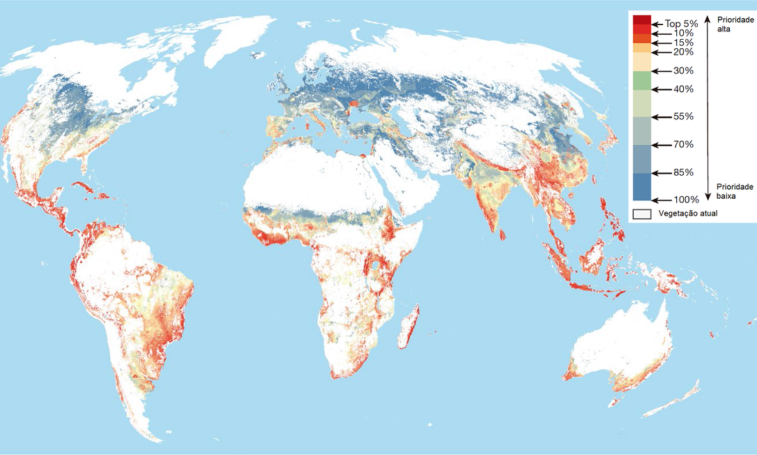 Mapa mostra distribuição das áreas prioritárias (vermelho) para restauração de ecossistemas naturais Foto: Strassburg et al./"Nature"