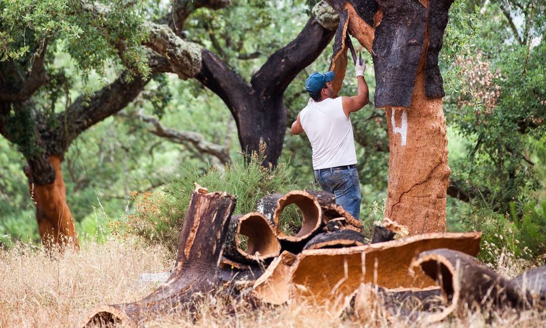 Vinhos De Portugal 2020 Afinal Por Que As Rolhas De Cortiça São Tão Especiais Jornal O Globo 7979