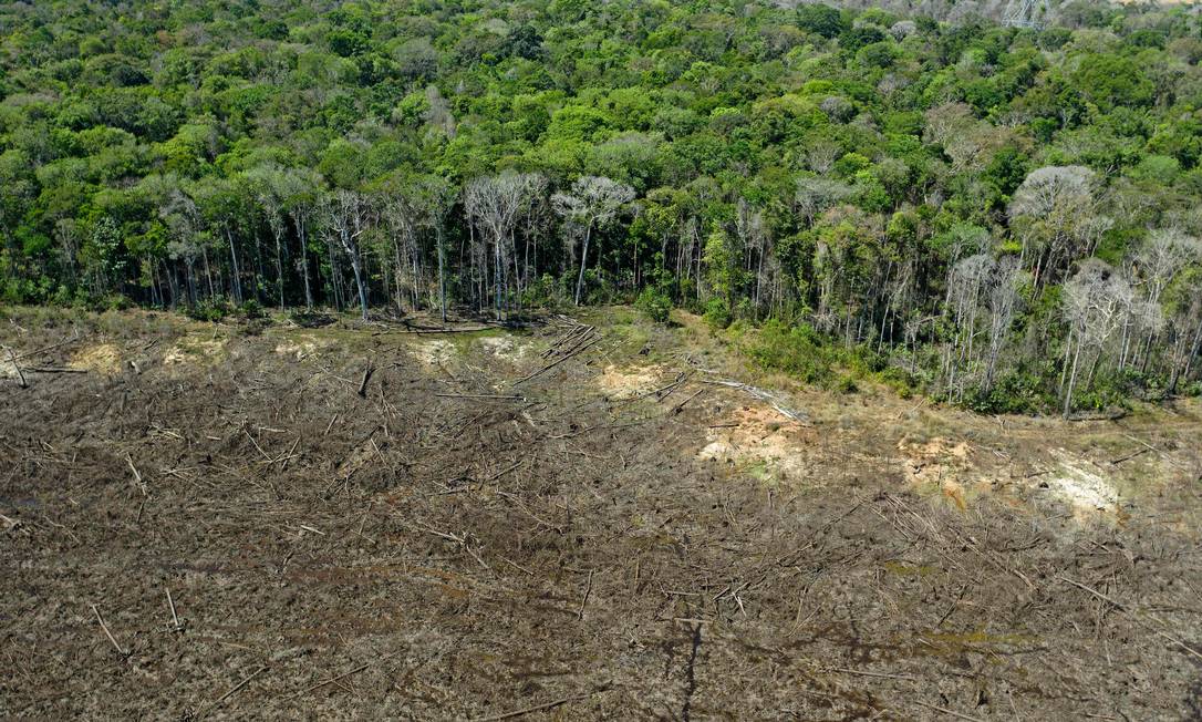 Foto aérea de arquivo mostra uma área de Floresta Amazônica desmatada próxima a Sinop, no estado de Mato Grosso Foto: Florian Plaucheur / AFP