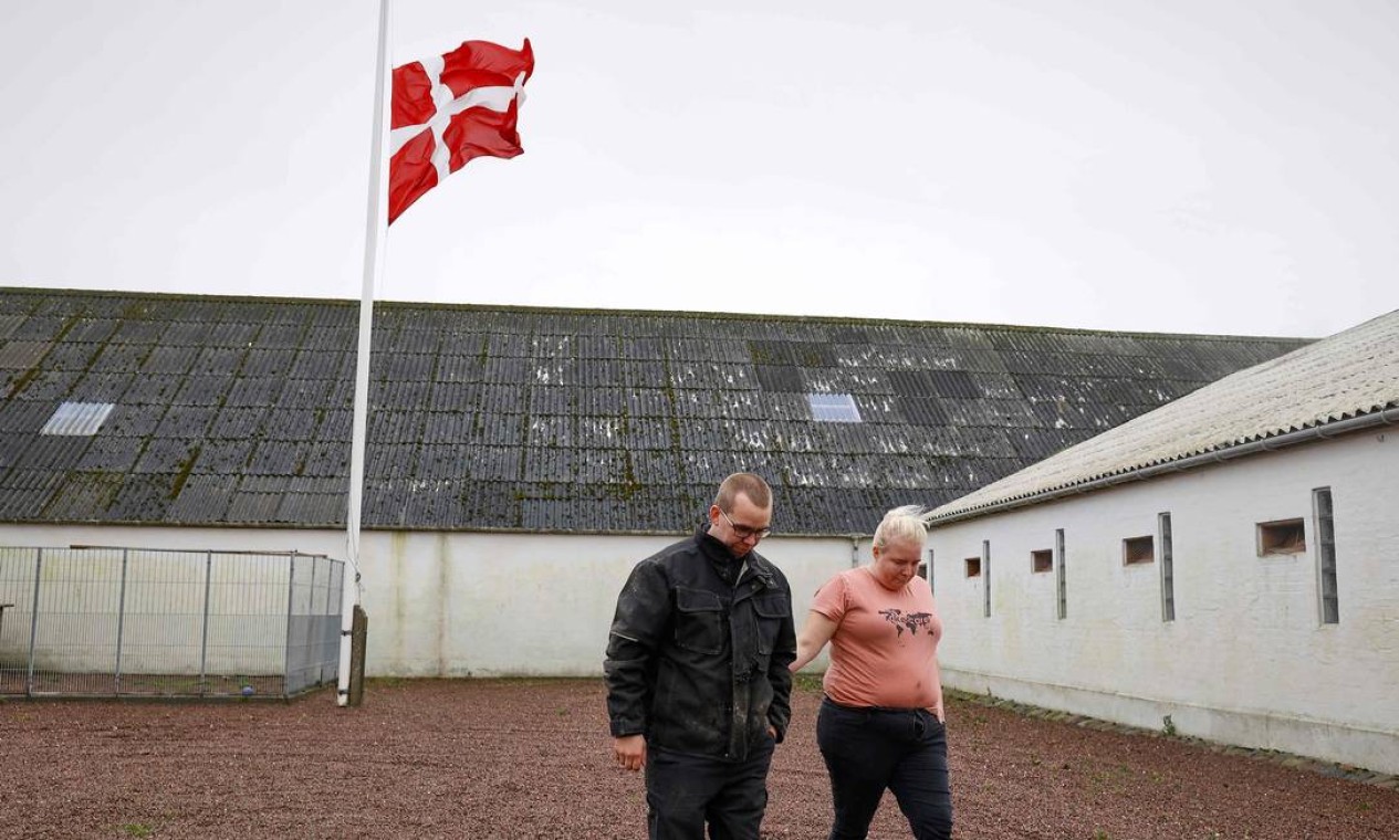 Casal de fazendeiros caminham em seu pátio depois de colocar sua bandeira no mastro, em Boerglum Kloster, na parte norte da Jutlândia. Visons têm contraído o Sars-CoV-2 em fazendas de pele na Holanda, Espanha, Estados Unidos e Dinamarca, este último o maior produtor do mundo Foto: CLAUS BJOERN LARSEN / AFP