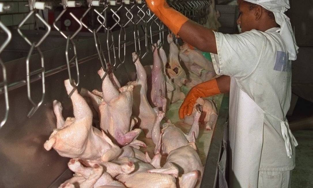 Brasil é o maior exportador mundial de carne de frango, com vendas para 143 países e processos produtivos reconhecidos internacionalmente Foto: Luís Alvarenga / Agência O Globo