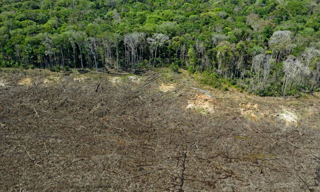 Área desmatada em Sinop, Mato Grosso Foto: FLORIAN PLAUCHEUR/AFP / AFP