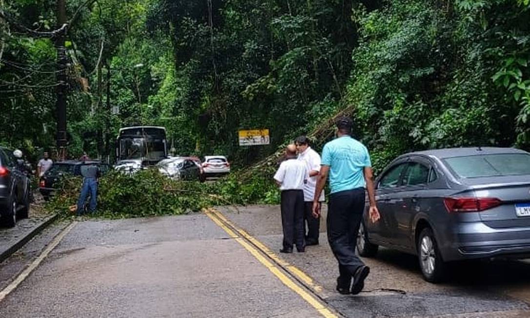 Queda de árvore na Estrada de Furnas causou interdição no Alto da Boa Vista na manhã desta quinta-feira, dia 10 Foto: Centro de Operações Rio / Reprodução