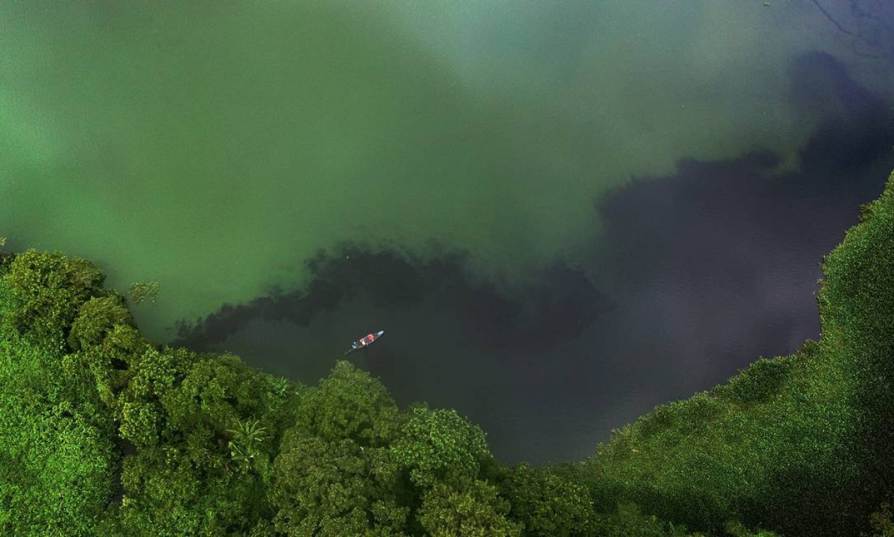 Vista aérea do lago da Represa do Guandu, com águas tomadas pela lama,
por gigogas e esgoto, próximo à área de captação Foto: Custodio Coimbra / Agência O Globo - 15/01/2020