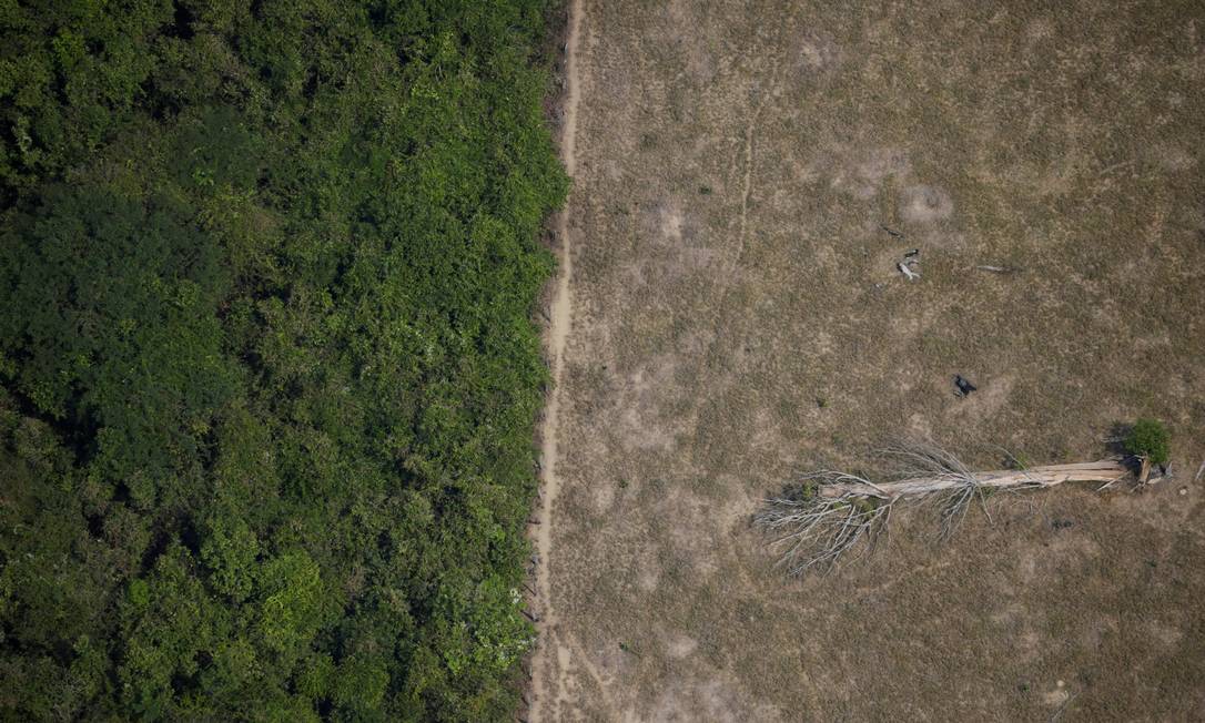 Área desmatada da Amazônia: documento destaca o problema das queimadas e da extração de madeira Foto: Ueslei Marcelino / Reuters