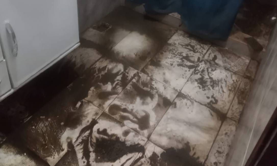Marcas da destruição: o banheiro da moradora Rosicleide Ferreira ficou cheio de lama após temporal Foto: Divulgação