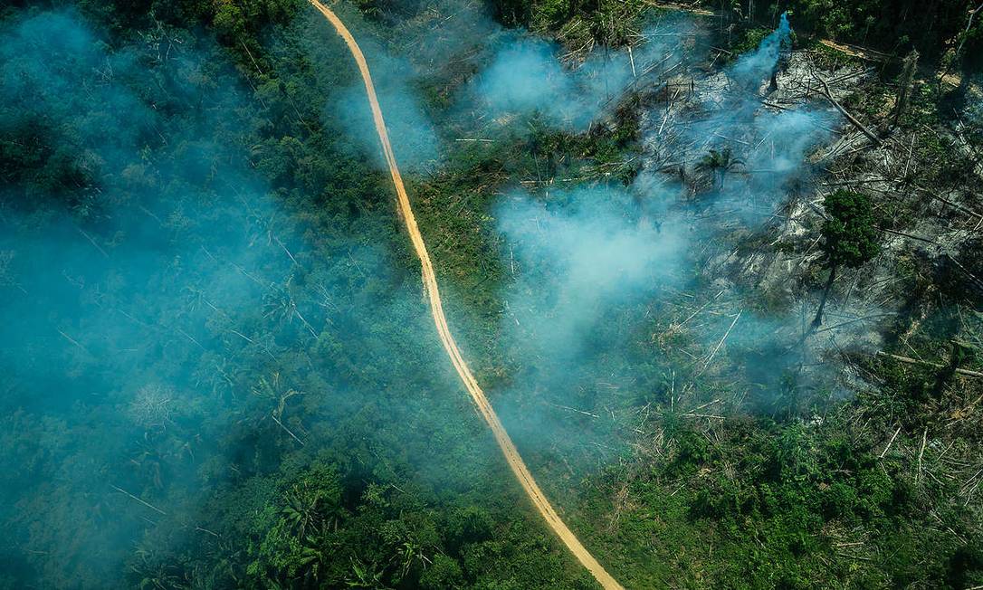A Terra Indígena Ituna-Itatá , ainda não homologada, está entre as mais desmatadas em 2019 Foto: Fábio Nascimento / Greenpeace/Divulgação