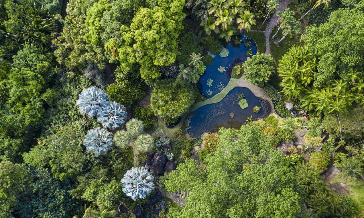 Vista aérea dos jardins dos lagos, um dos recantos mais bonitos do Sítio Roberto Burle Marx: coleção tem mais de 3.500 espécies de plantas tropicais Foto: Leo Martins / Agência O Globo