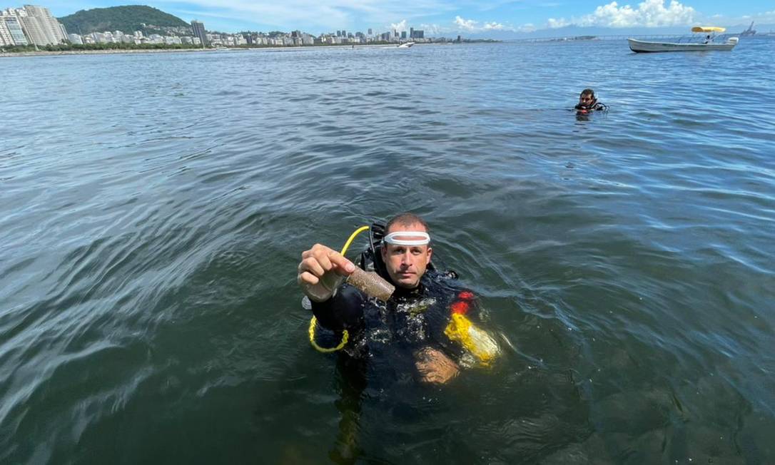 Mergulhador recolhe plástico do fundo do mar em ação de limpeza na Urca, Zona Sul do Rio Foto: Ana Branco / Agência O Globo