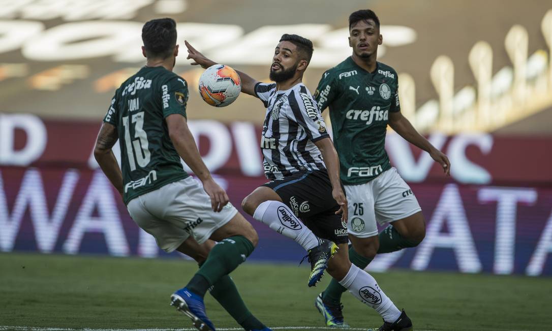 Campeão da Libertadores, Palmeiras disputará o Mundial de ...