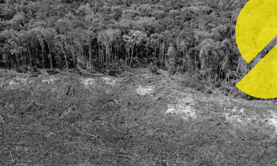 Foto aérea de arquivo tirada em 07 de agosto de 2020 de uma área desmatada próxima a Sinop, Estado de Mato Grosso, Brasil Foto: Florian Plaucheur / AFP
