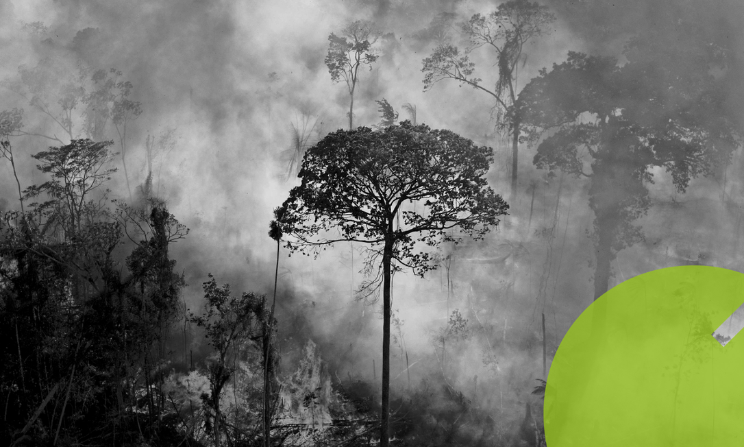 Queimada na floresta em Novo Progresso, no Pará: grupos de pressão vêm apresentando propostas diferentes sobre como lidar com Brasil no tema ambiental Foto: Carl de Souza / AFP/15-8-2020