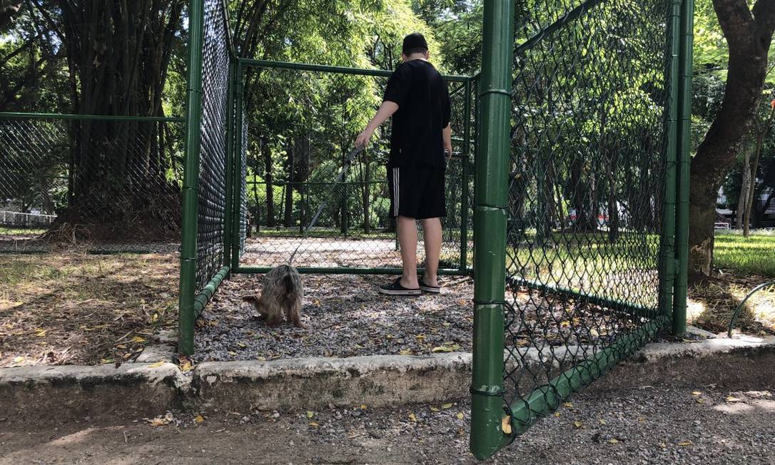 Entrada da área reservada para os cães: tamanho desagradou Foto: Fabio Rossi / Agência O Globo