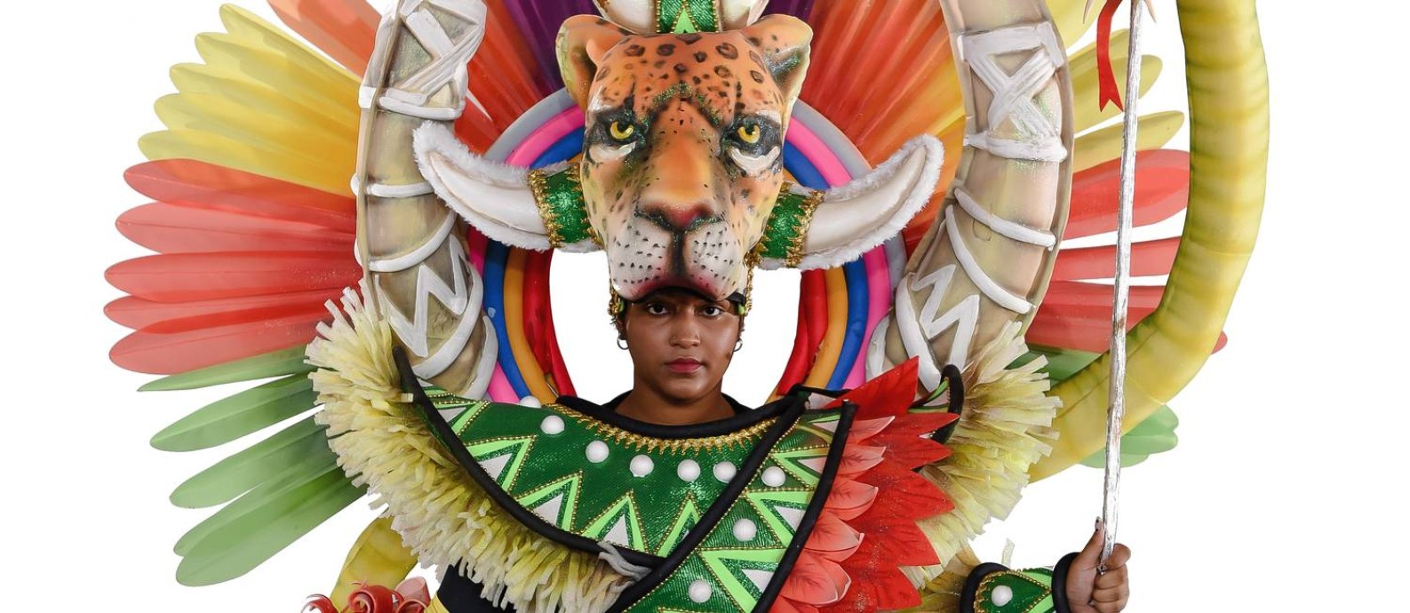 Detalhe da Ala Ciclo da Vida, do carnavalesco Edson Pereira, da Unidos de Padre Miguel Foto: Divulgação/Diego Mendes