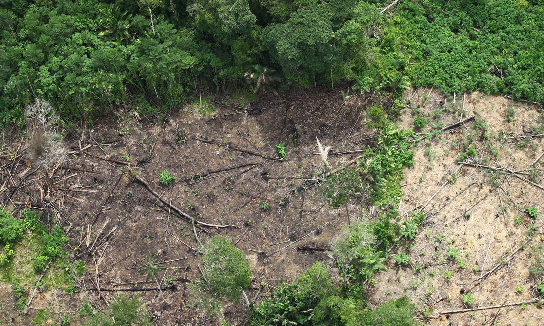 Brasil - Tabatinga (AM) - 11/12/2020 - Desmatamento na Floresta Amazônica, nas proximidades de Tabatinga (AM).
Foto de Jorge William/Agência O Globo Foto: Jorge William / Agência O Globo