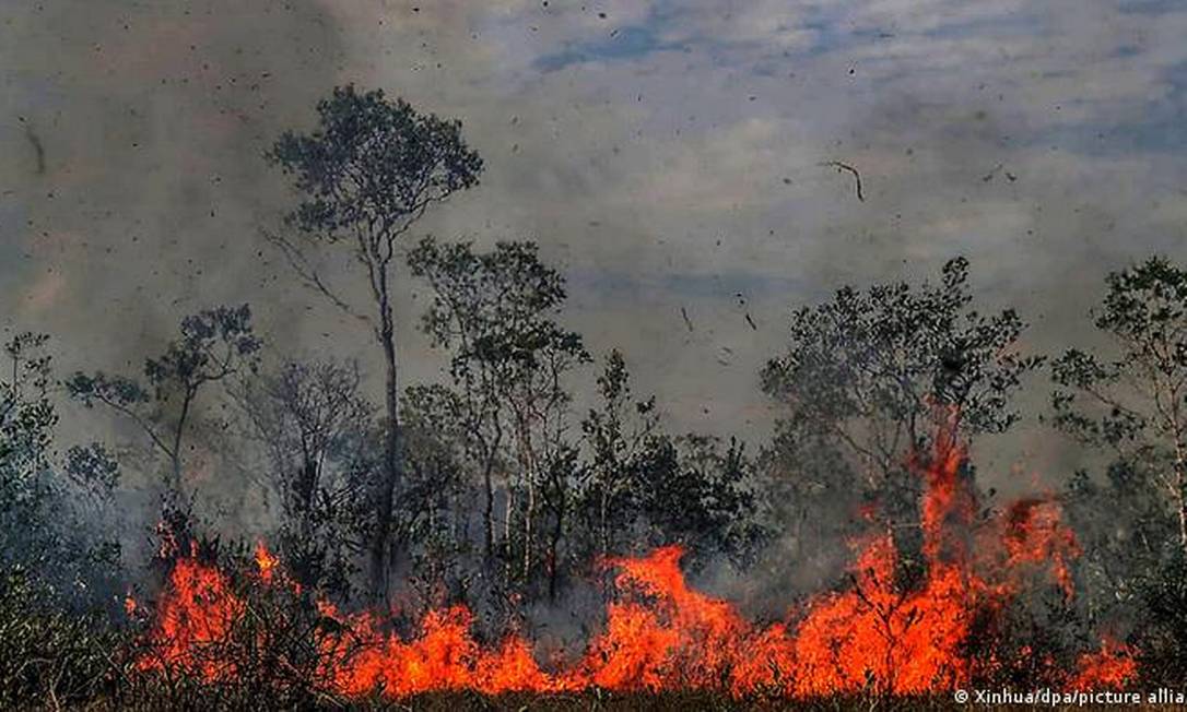 Destruição Da Natureza Pelos Humanos é Suicida Alerta Onu Época